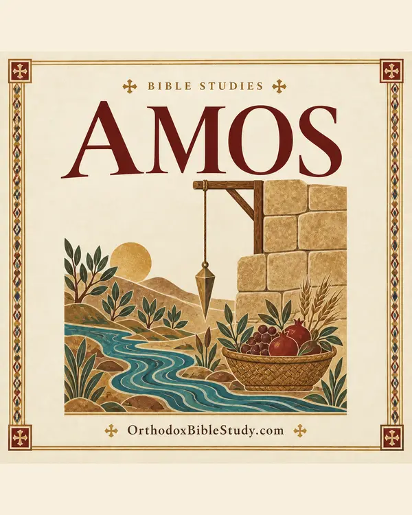 Amos book artwork